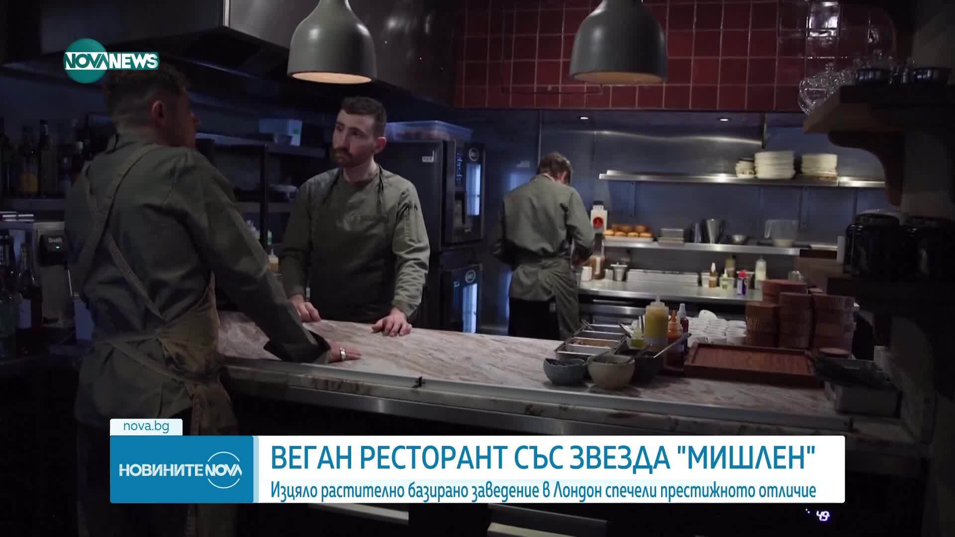 Великобритания има първия веган ресторант със звезда „Мишлен“