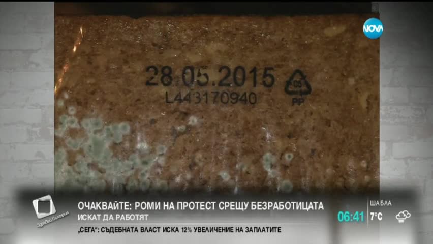 „Моята новина”: За синьото сирене се намери и синьо хлебче
