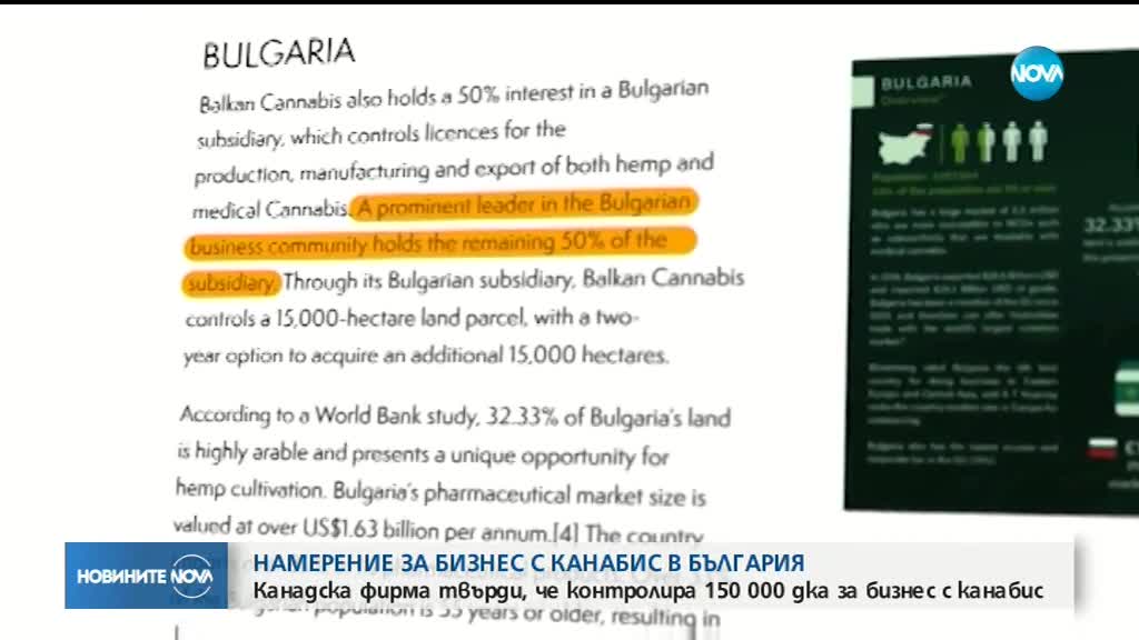 Канадци твърдят, че имат 150 000 декара земя за канабис у нас