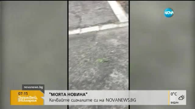"Моята новина": Хемоглобин на прах в салама