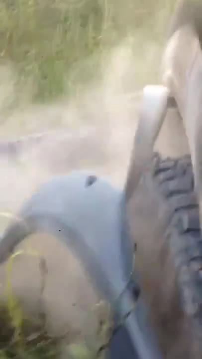 Вижте с каква сила този алигатор скъса бронята на този автомобил