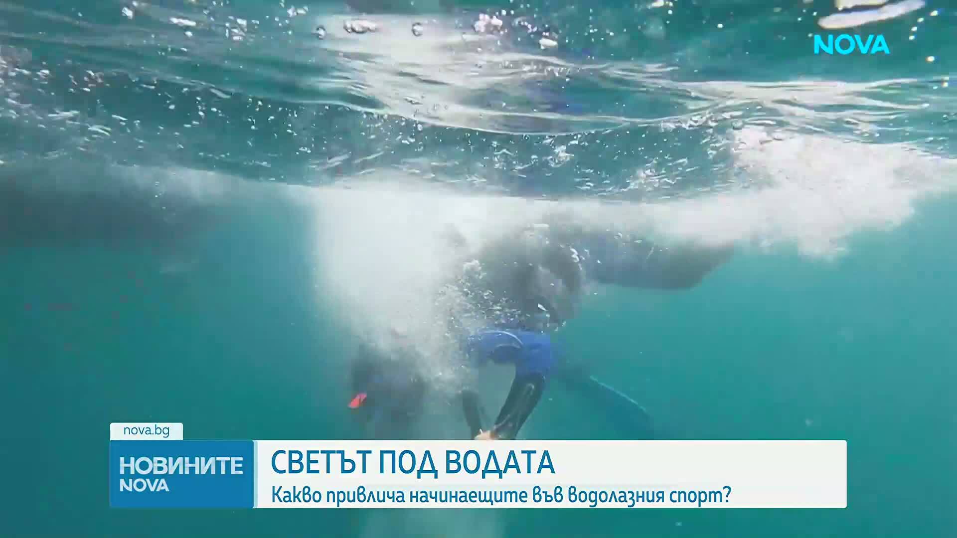 Какво привлича начинаещите във водолазния спорт?