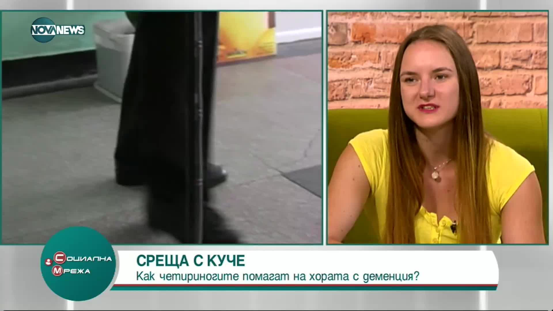 Младежи организират срещи между възрастни хора с деменция и кучета от приют