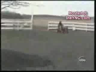 Funny Video Compilation 2