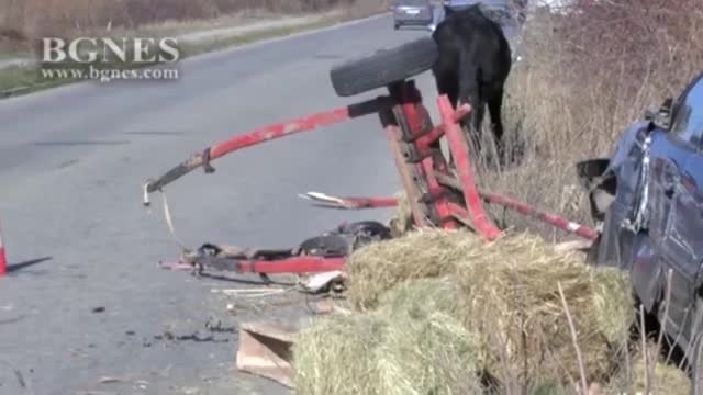 Един човек в болница след сблъсък между кола и каруца - видео БГНЕС