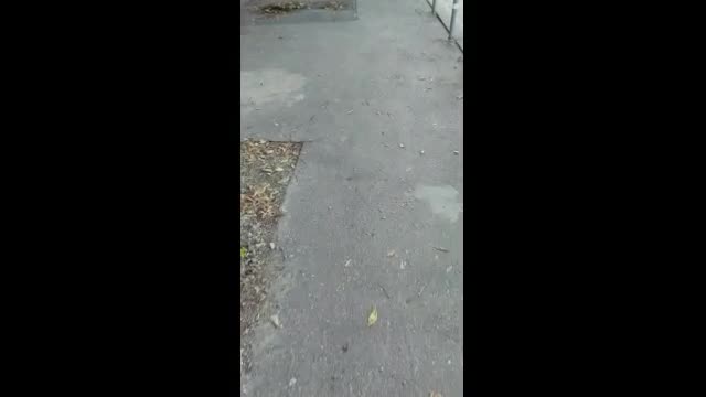"Моята новина": Тротоар в много лошо състояние