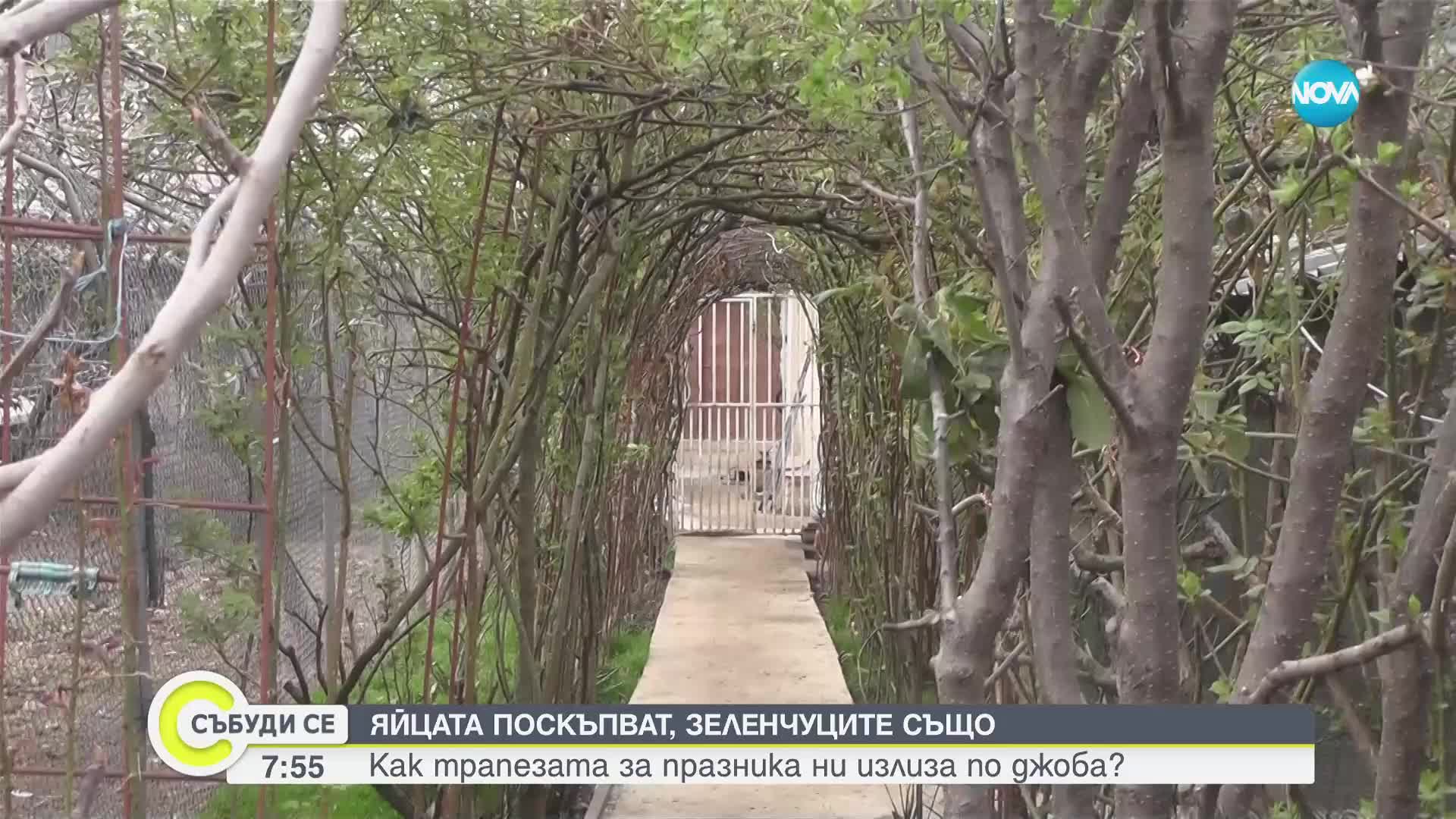 Яйцата поскъпват, зеленчуците също: Колко ще ни струва трапезата за Великден