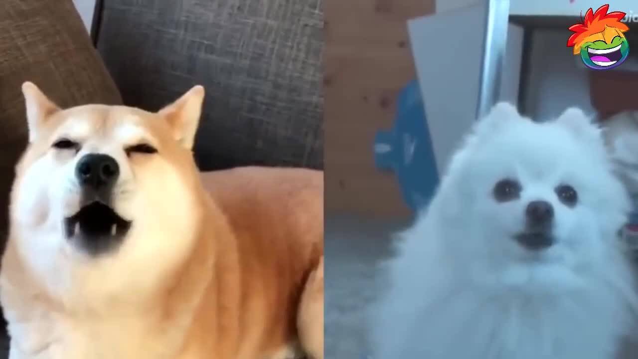 Смешки, изцепки, гафове - Много смях