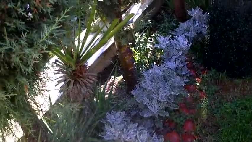 Домати, Краставици, Чушки, Лук ,,,,,