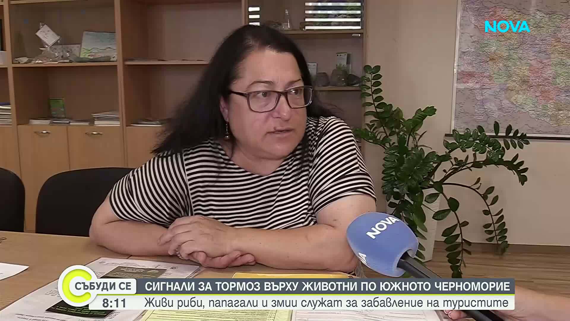 Животни като атракция по Черноморието: институциите проверяват сигнали за жестокост