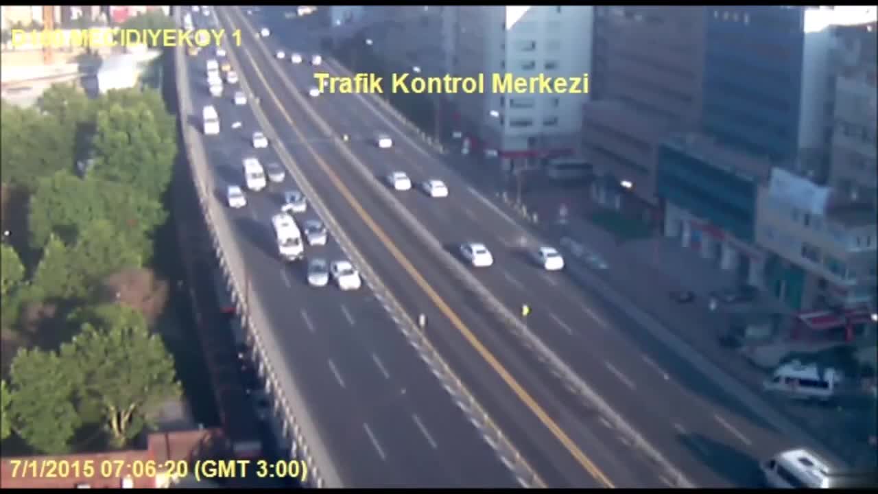 Пресичащо животно предизвиква верижна катастрофа