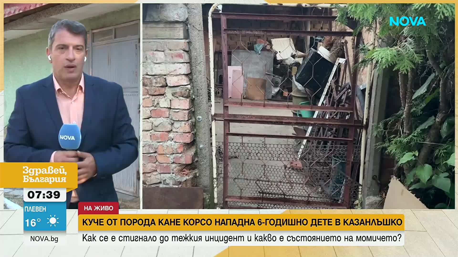 Какво е състоянието на момичето, нападнато от Кане Корсо