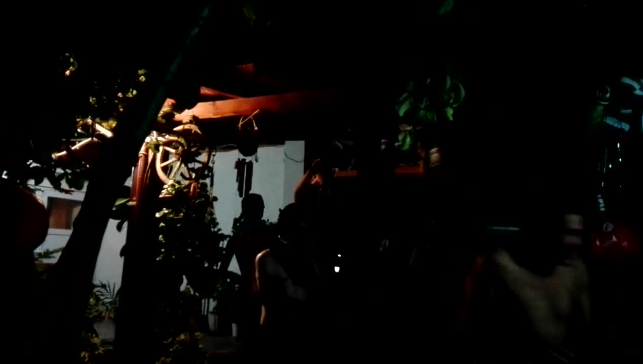 Harlem Shake