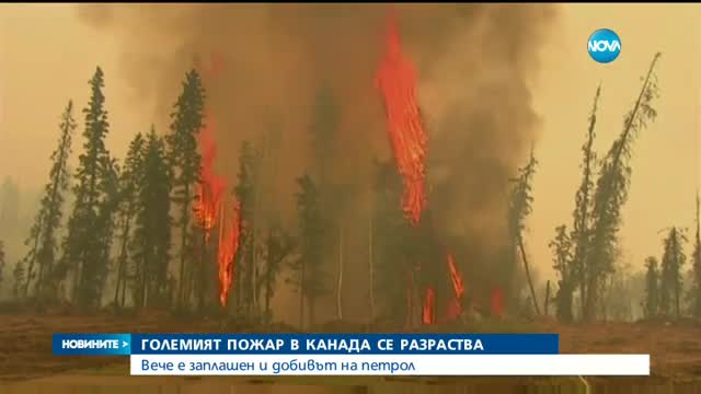 Горският пожар в Канада се разраства