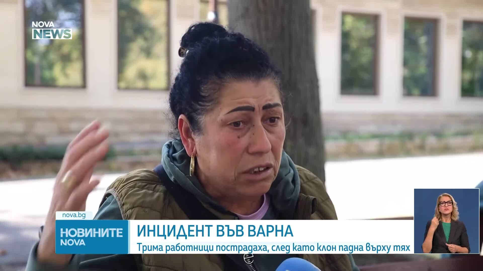 Трима работници пострадаха, след като клон падна върху тях във Варна