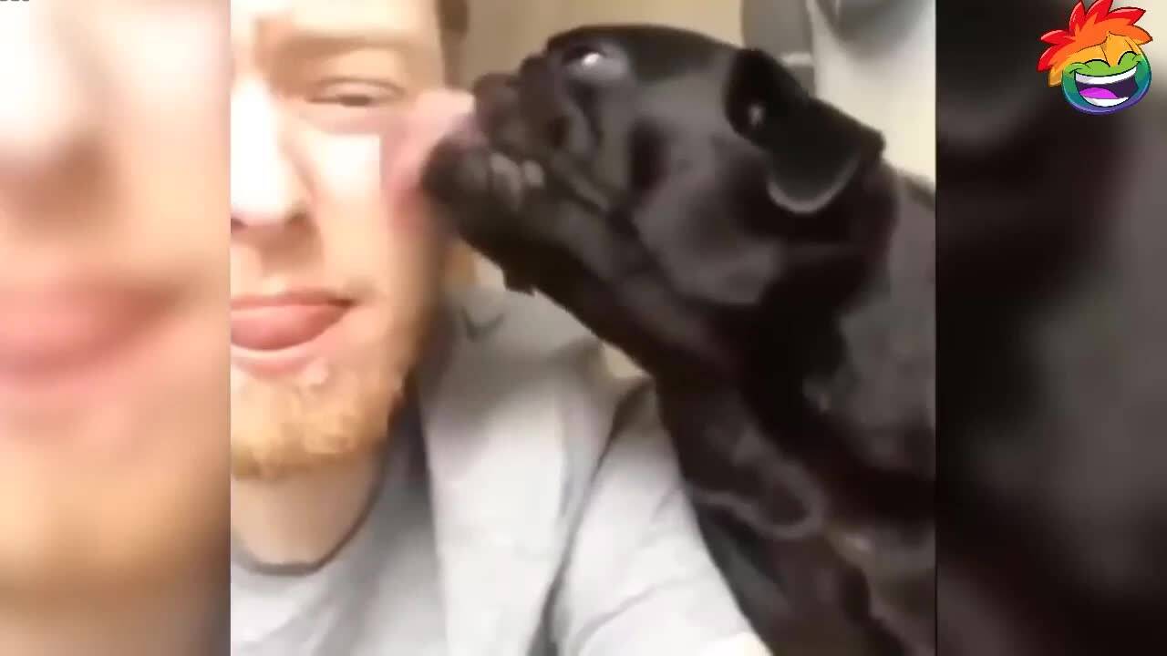 Много смях с чудати животни!