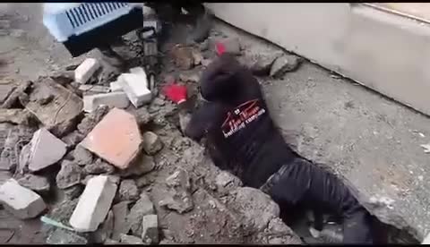След саниране на сграда: Спасиха бездомно коте, след като бе зазидано под стълбище в Бургас