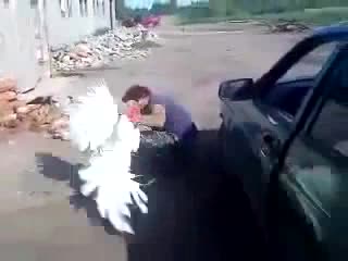 Пуйка се бие с Руснак -- Смях