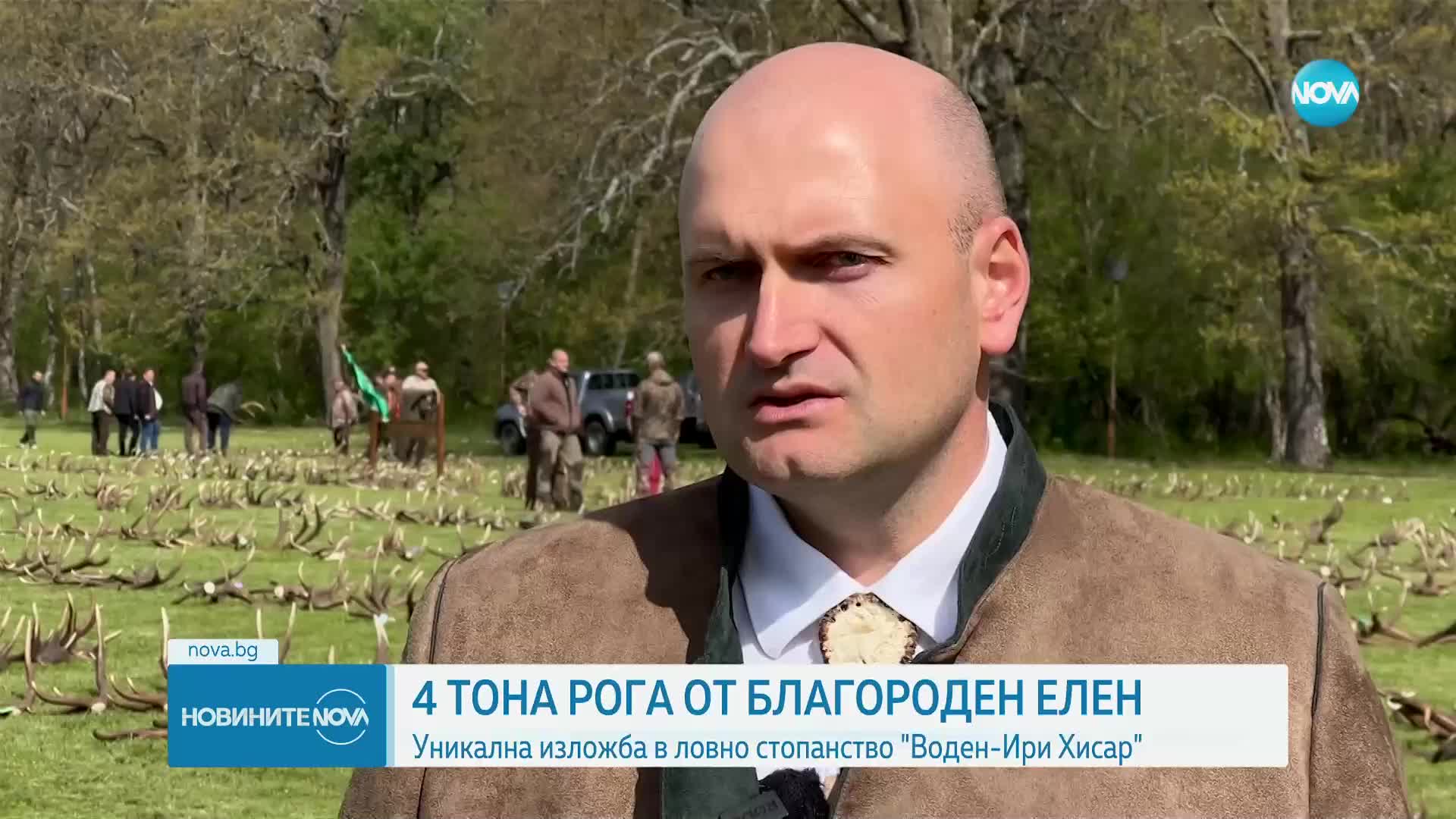 Подредиха 4 тона еленови рога в ДЛС „Воден - Ири Хисар” (ВИДЕО)