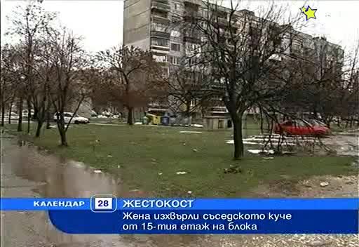 Луда Жена изхвърли съседското куче от 15 - тия етаж ! ! ! 