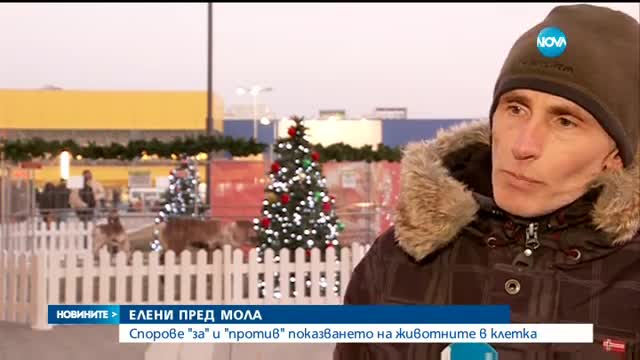 ЕЛЕНИ ПРЕД МОЛА: Спорове "за" и "против" показването на животните в клетка