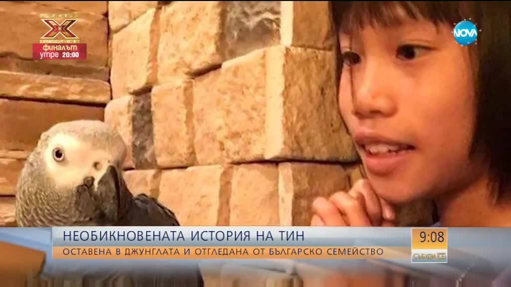 Българско семейство отглежда изоставено в джунглата момиченце