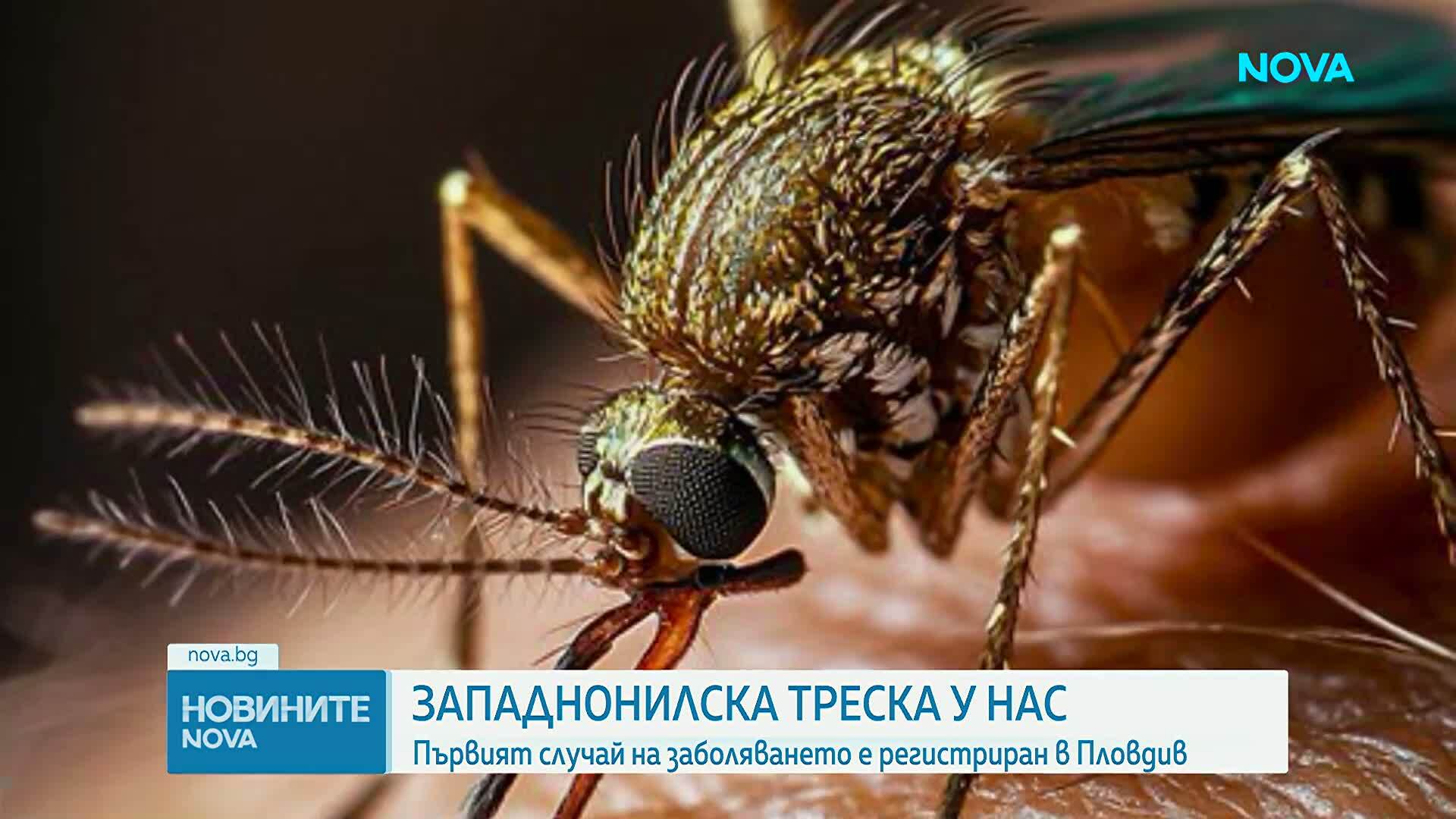 Първи случай на западнонилска треска за сезона е регистриран у нас