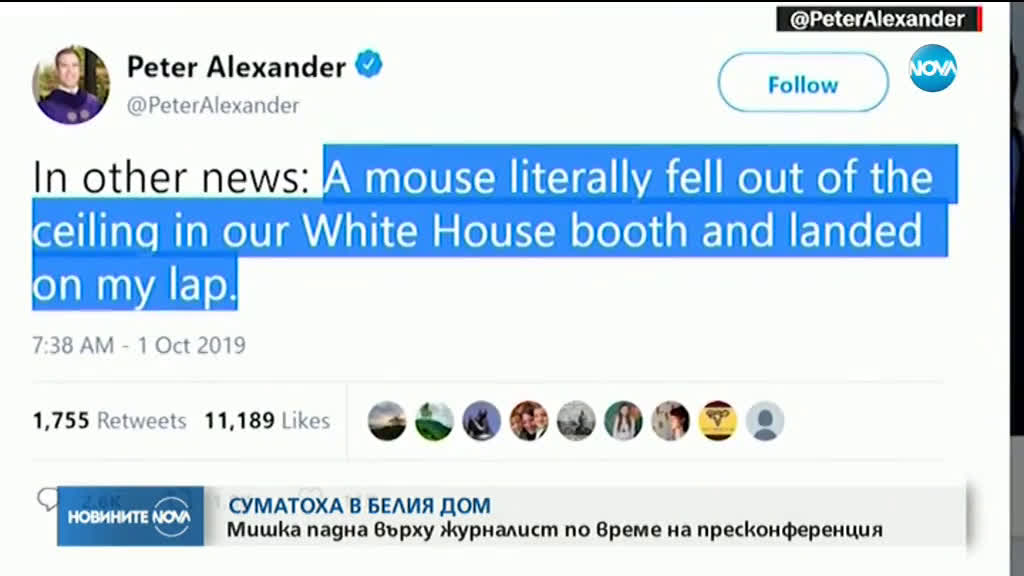 Мишка падна от тавана по време на пресконференция в Белия дом