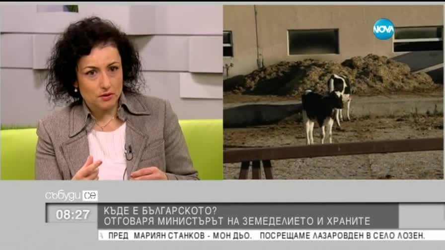 Министър Танева: Няма как български домат да струва 1.50 лв.