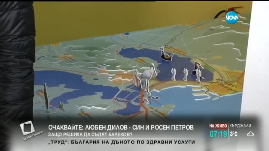 Опасен ли е птичият грип за бургазлии?
