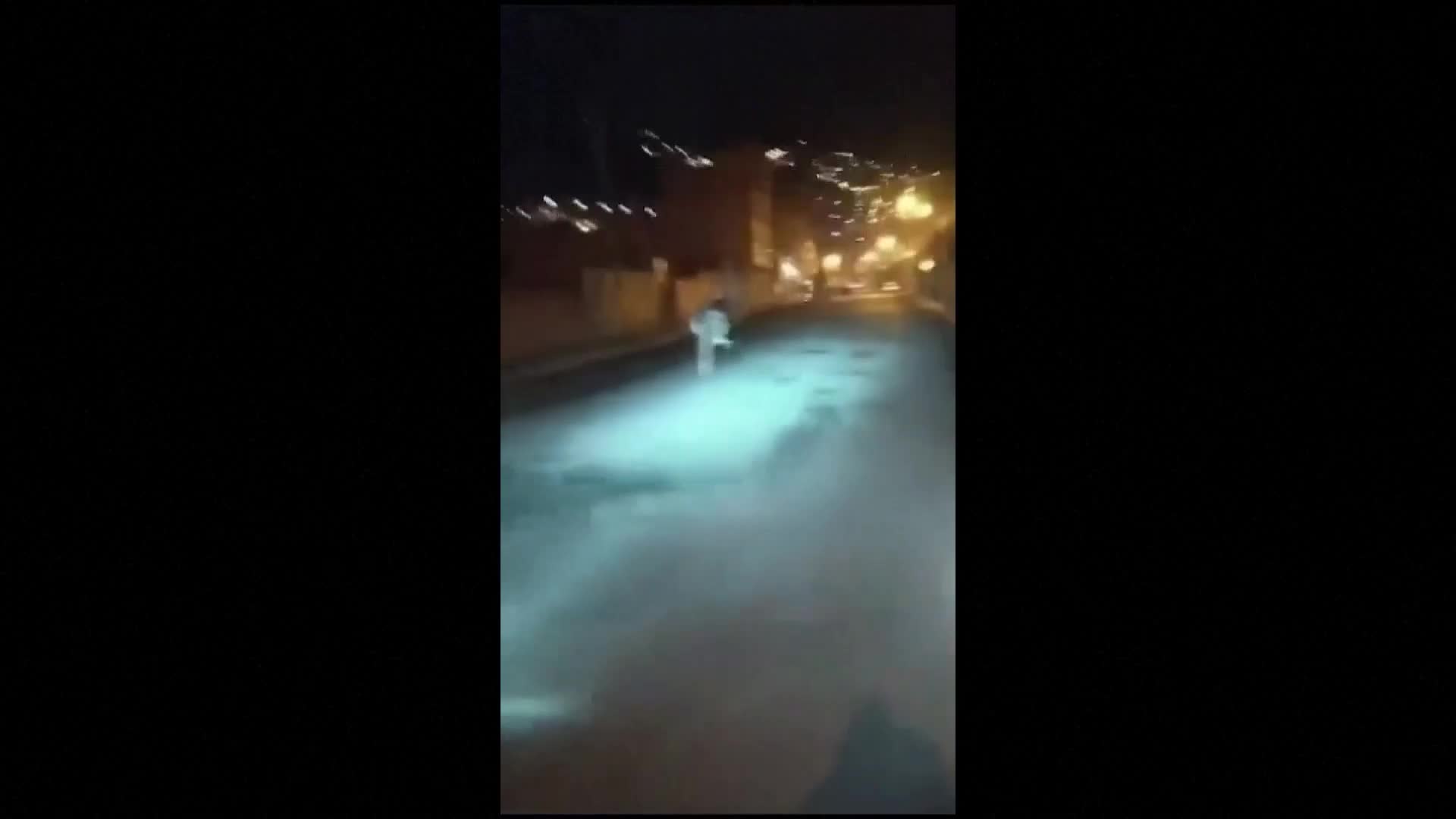 Родени да бъдат на свобода: Щрауси препускат по улиците на Ла Пас