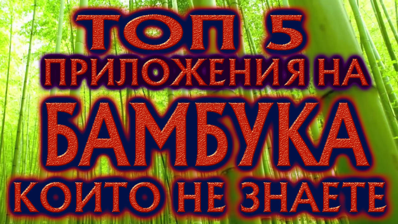 Топ 5 приложения на бамбука, за които не предполагате!