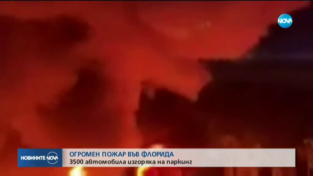 Хиляди коли изгоряха при огромен пожар във Флорида