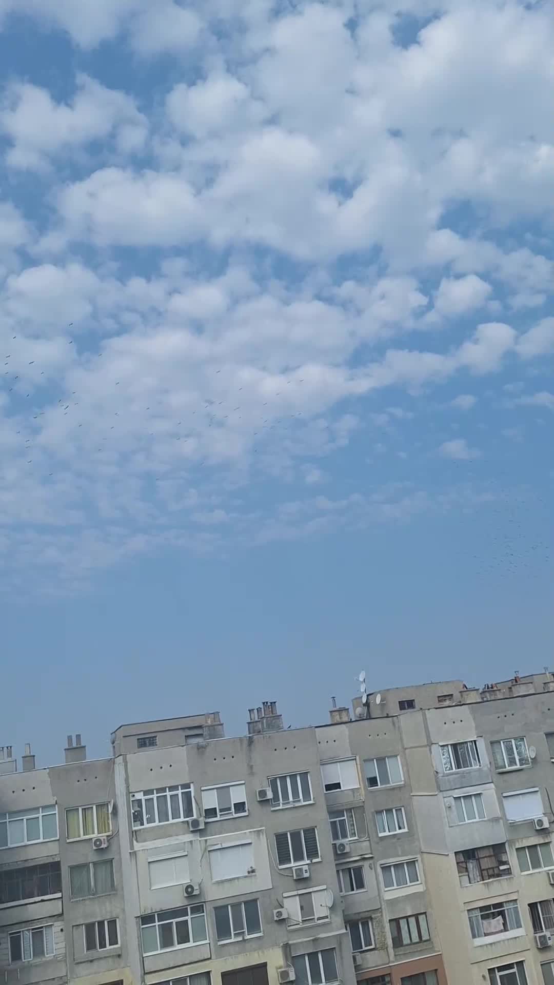 Щъркелите си отиват