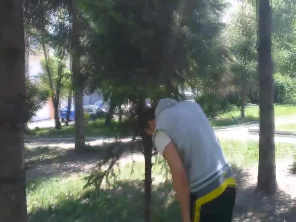 Избори 2013