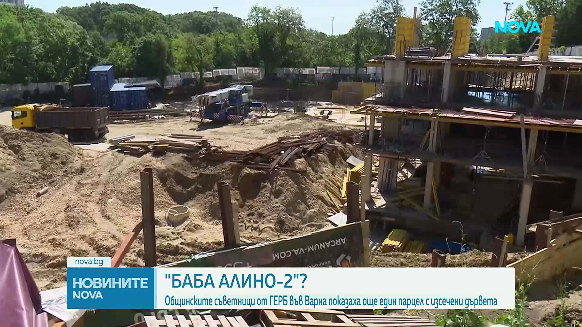 „Баба Алино 2”?: Общинските съветници от ГЕРБ във Варна показаха още един парцел с изсечени дървета