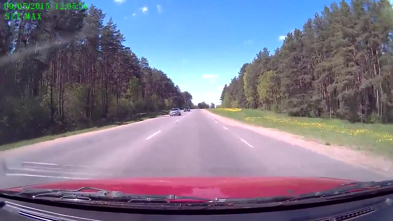 Неуспешен опит на елен да прескочи кола