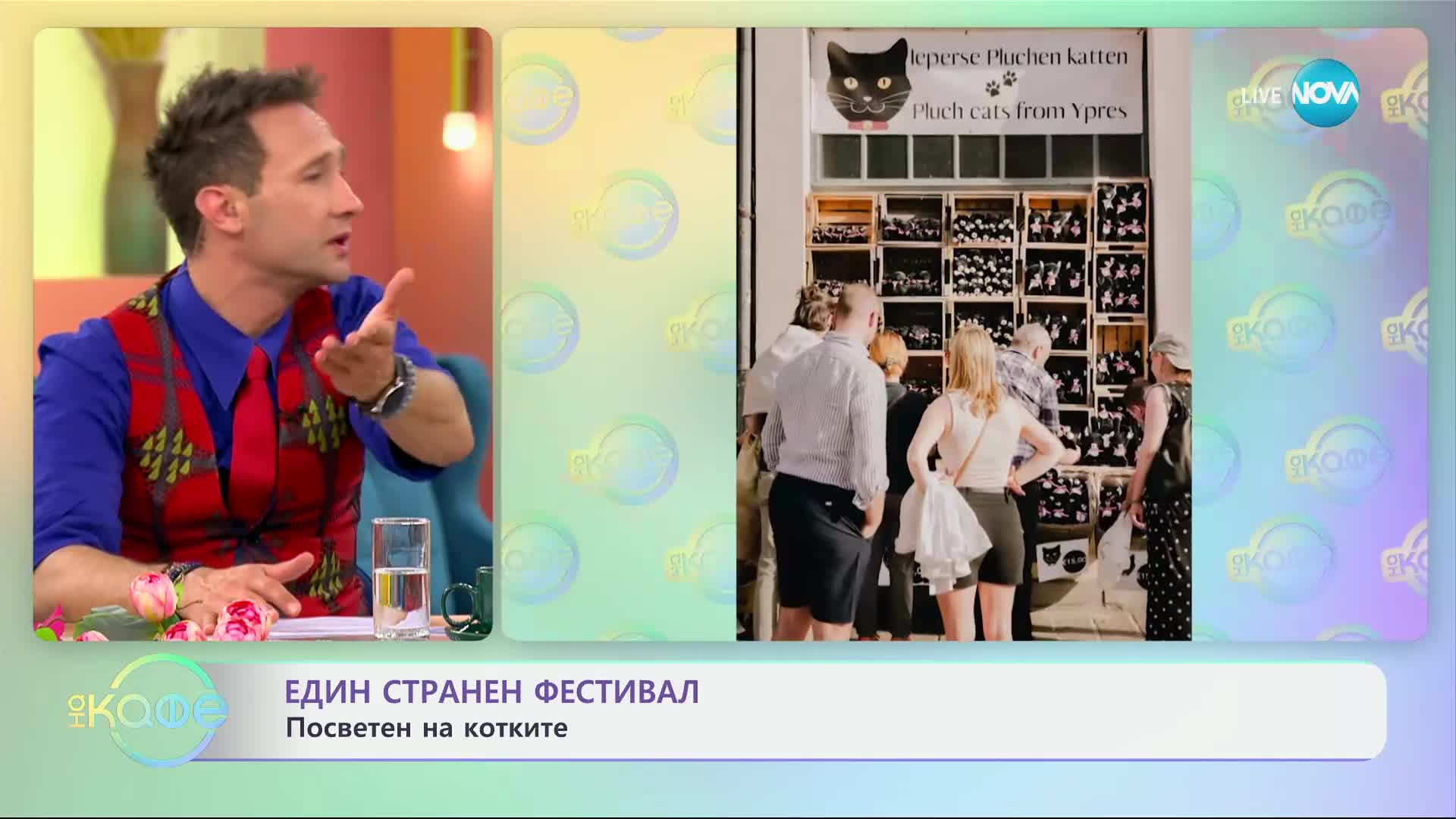 50 000 души се събраха на фестивал на котката в Белгия