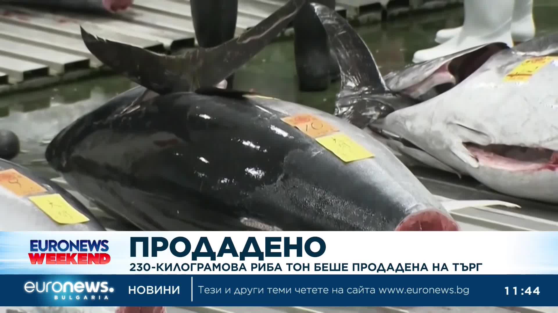 Продадоха на търг 230-килограмова риба тон за близо $800 000