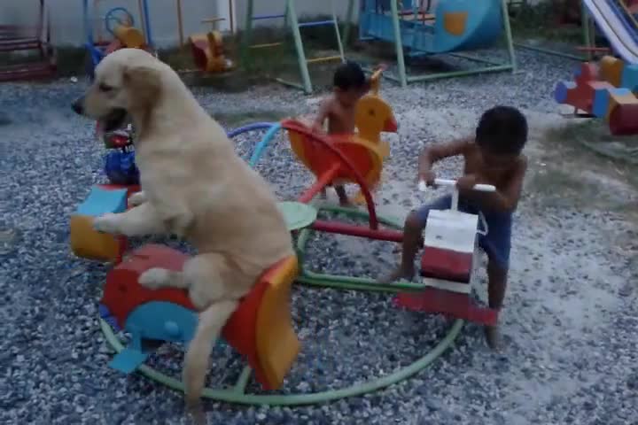 Куче си играе на въртележка с деца