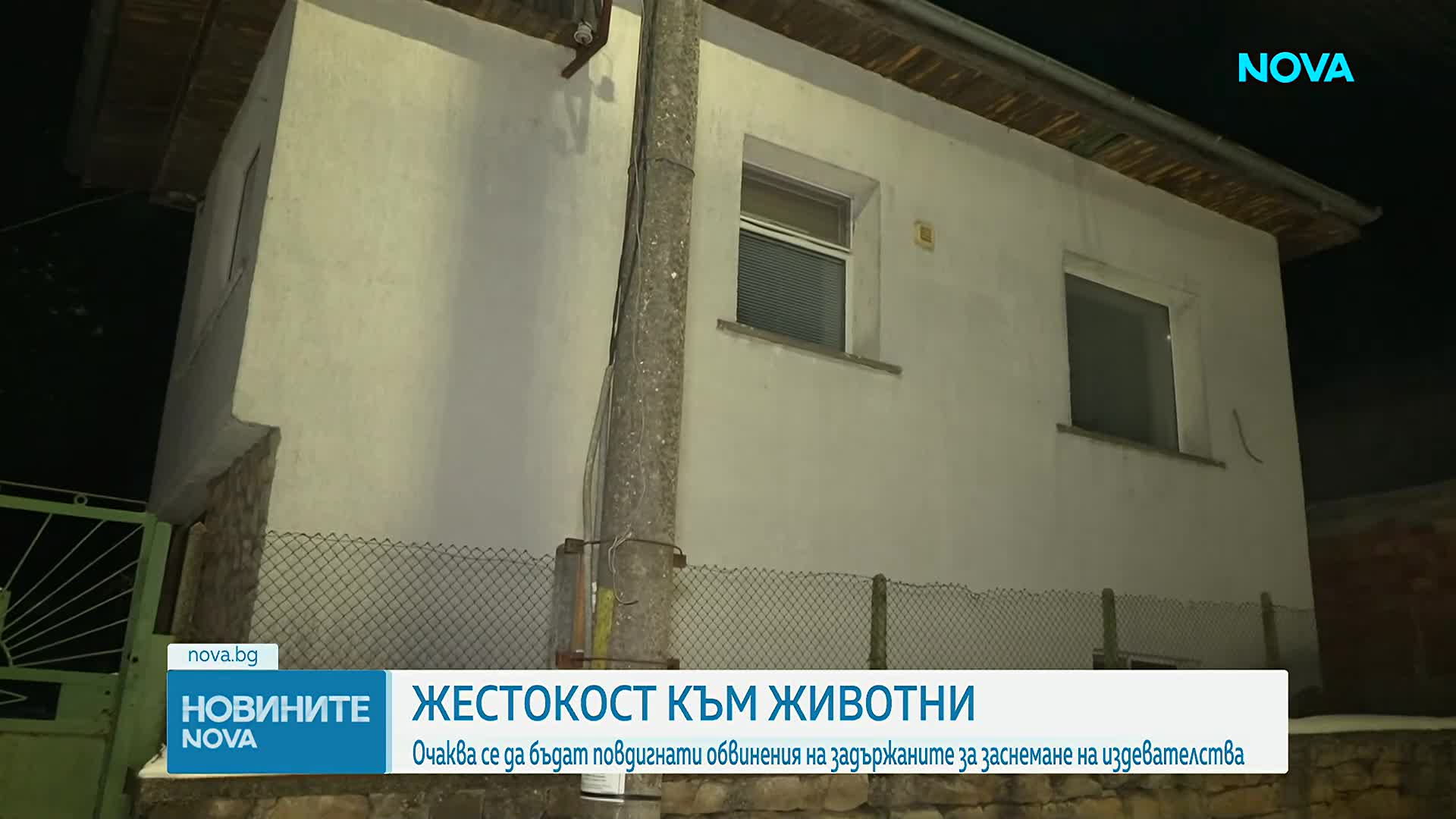 Повдигат обвинения на мъжа и жената, заснемали как изтезават животни и продавали видеата