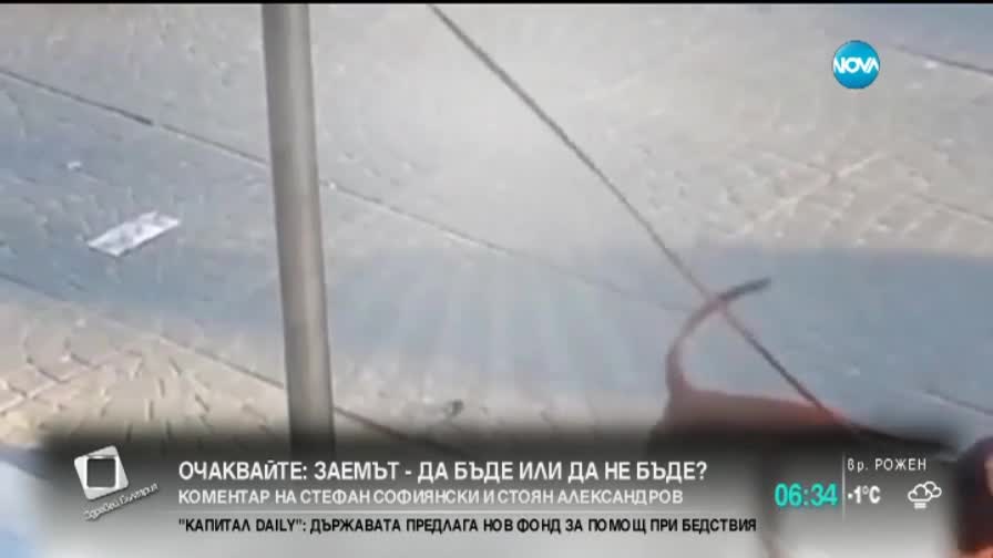 Пиле мисли куче за кренвирш