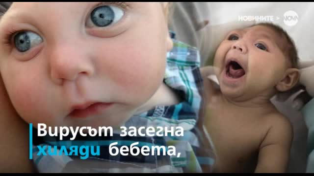 Лицата на вируса Зика: една година по-късно