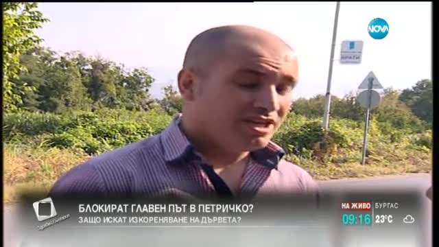 Жители на 10 петрички села искат изкореняването на 130 дървета