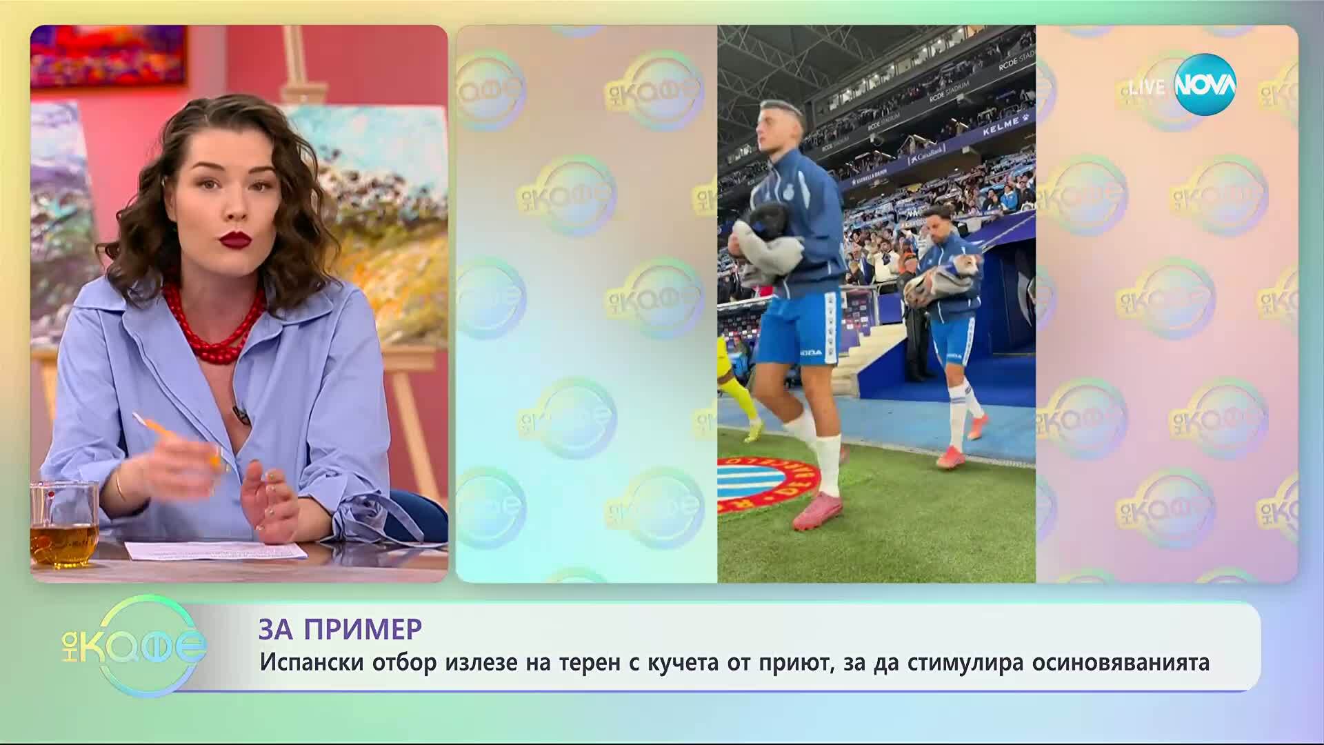 Футболисти излязоха на терена с бездомни кучета, за да стимулира осиновяванията