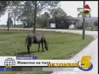 Цялата Класация От "Господари На Черешата"