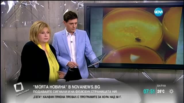 В "Моята новина": Насилие от провинил се шофьор