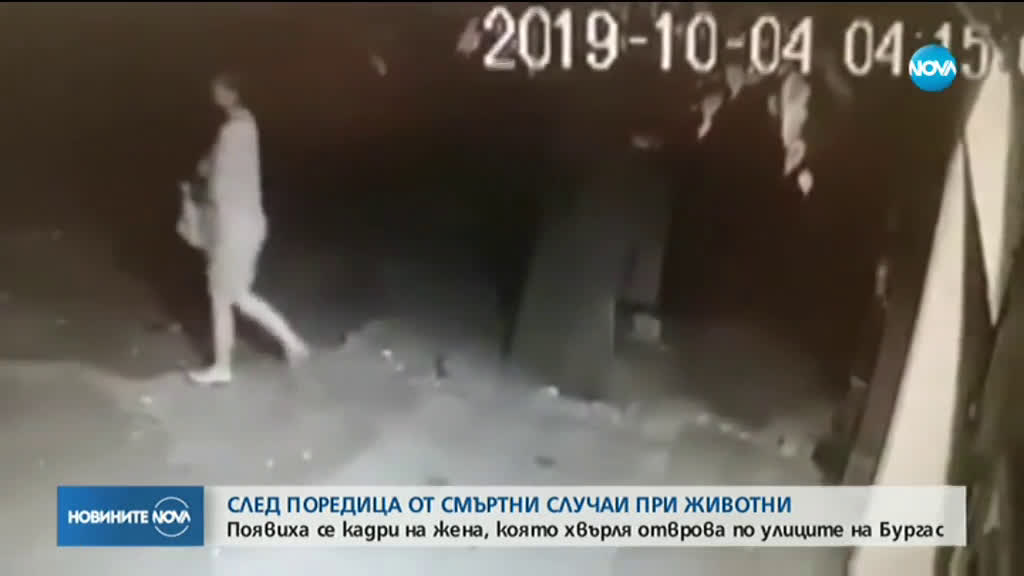 Новините на NOVA (15.11.2019 - 12.00 ч.)