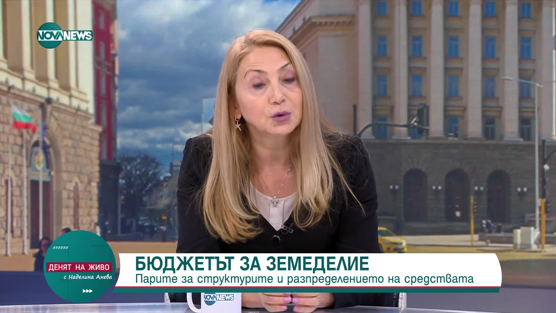 Васильонова: 250 млн. ще бъдат разпределени за намаляване на неравенството в земеделския сектор