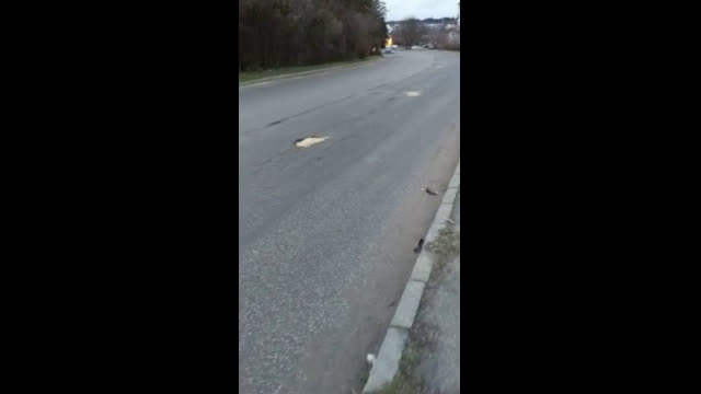 Дупки, създаващи предпоставки за ПТП
